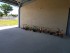 20200525_104001.jpg