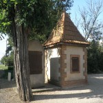 087-w800-h800.jpg