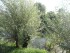 089-w800-h800.jpg