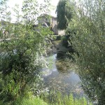 091-w800-h800.jpg