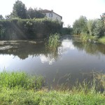 096-w800-h800.jpg