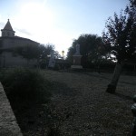 097-w800-h800.jpg
